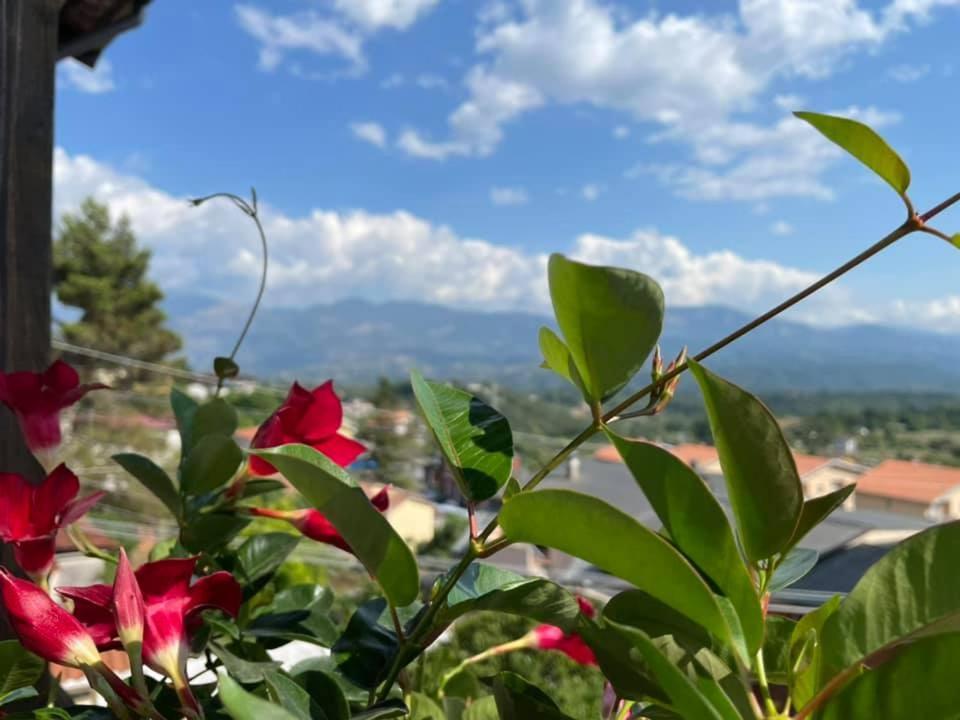 Hotel PINO LORICATO Castelluccio Inferiore Buitenkant foto